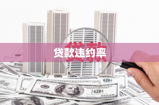 路桥贷款违约率