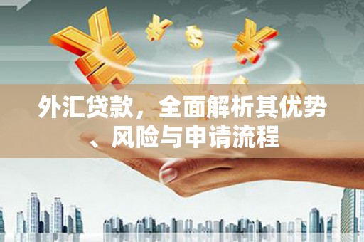 路桥外汇贷款，全面解析其优势、风险与申请流程