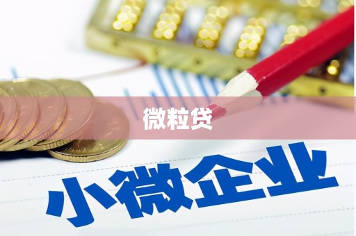 路桥微粒贷