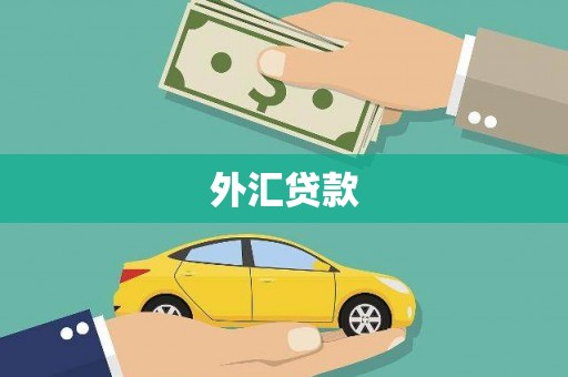 路桥外汇贷款