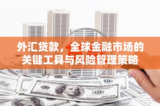 路桥外汇贷款，全球金融市场的关键工具与风险管理策略