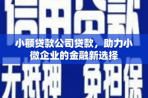 路桥小额贷款公司贷款，助力小微企业的金融新选择