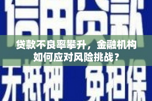 路桥贷款不良率攀升，金融机构如何应对风险挑战？