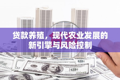 路桥贷款养殖，现代农业发展的新引擎与风险控制