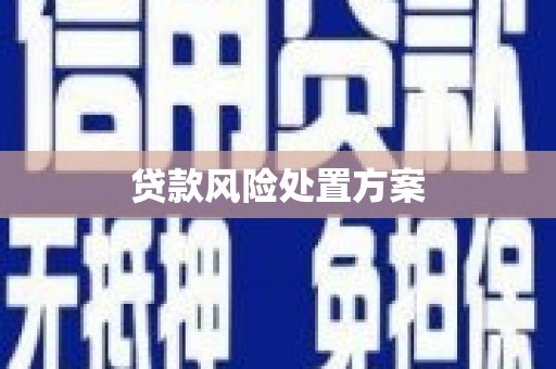 路桥贷款风险处置方案