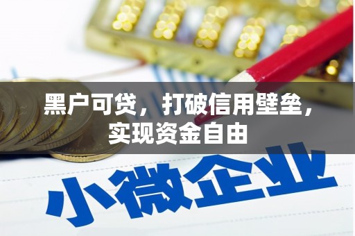 路桥黑户可贷，打破信用壁垒，实现资金自由