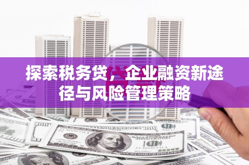 路桥探索税务贷，企业融资新途径与风险管理策略