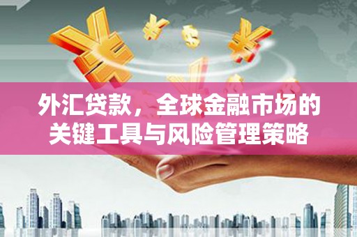 路桥外汇贷款，全球金融市场的关键工具与风险管理策略