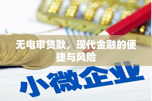 路桥无电审贷款，现代金融的便捷与风险