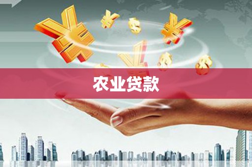 路桥农业贷款