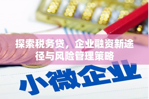 路桥探索税务贷，企业融资新途径与风险管理策略