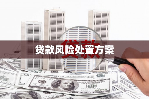 路桥贷款风险处置方案