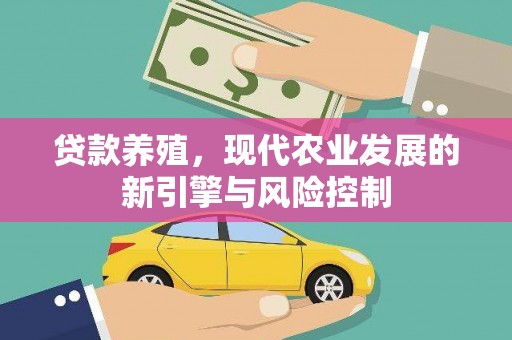 路桥贷款养殖，现代农业发展的新引擎与风险控制