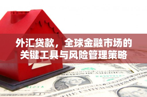 路桥外汇贷款，全球金融市场的关键工具与风险管理策略