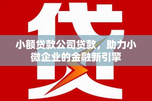 路桥小额贷款公司贷款，助力小微企业的金融新引擎