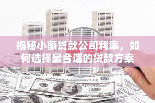 路桥揭秘小额贷款公司利率，如何选择最合适的贷款方案