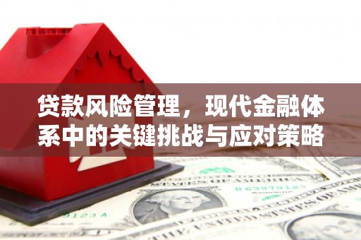 路桥贷款风险管理，现代金融体系中的关键挑战与应对策略