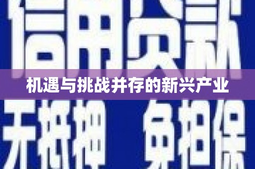 路桥机遇与挑战并存的新兴产业